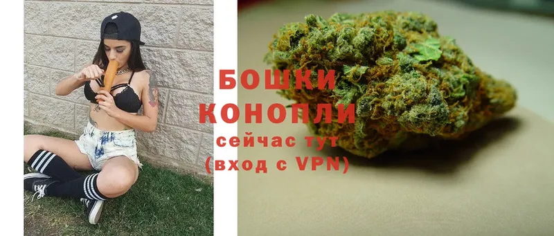 закладки  Балей  Конопля тримм 